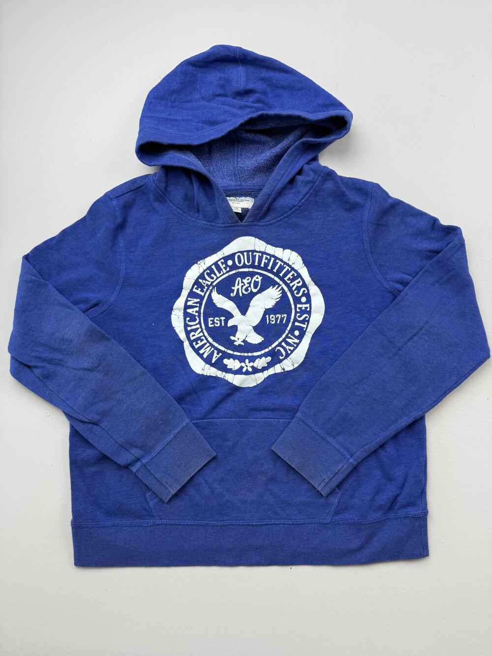 American Eagle Outfitters Hoodie Youth Large Blue Fleece Logo Kangaroo Pocket